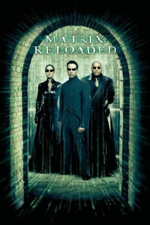 Matrix Reloaded (yarrağ) 1080P Full HD Türkçe Altyazılı ve Türkçe Dublajlı