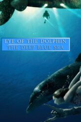 The Three Investigators LIVE [Eye of the Dolphin Collection] Serisi izle