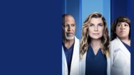 Grey’s Anatomy izle
